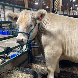 Meet your Posher, Brennan